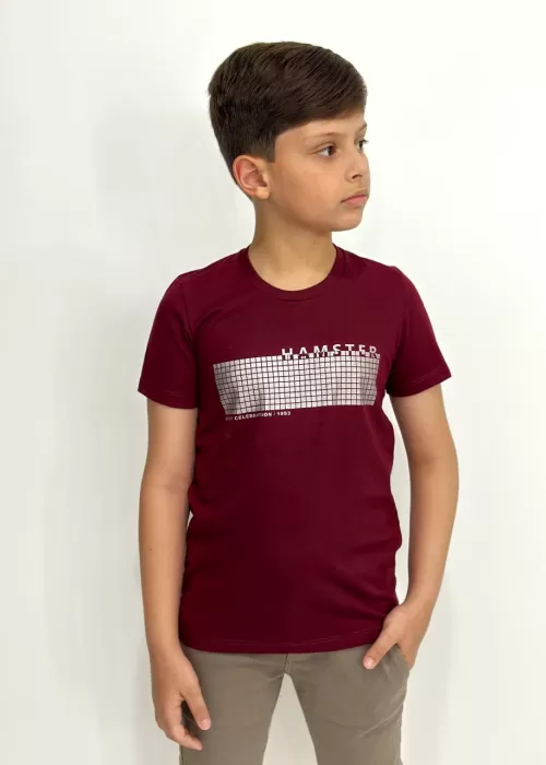 Camisa Estampa Frontal HAM001
